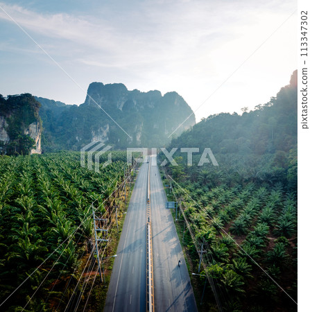 Straight road and palm trees and rocky mountains at Krabi, way to the sea. 113347302