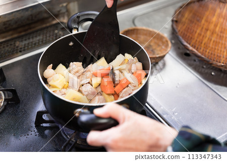 老婦人煎馬鈴薯、胡蘿蔔、洋蔥和雞肉燉菜 老婦人煎馬鈴薯、胡蘿蔔、洋蔥和雞肉燉菜 113347343