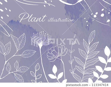 Simple illustration of plants_8 113347414
