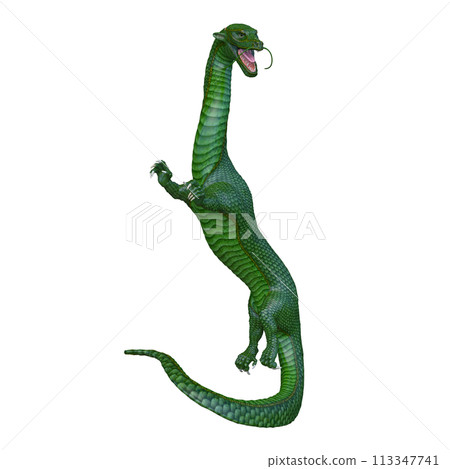 Dragon Dragon 113347741
