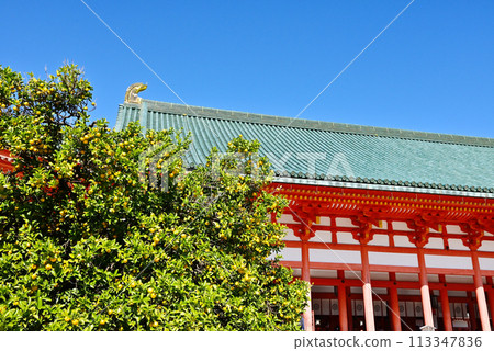 Daigokuden and Ukon-no-Tachibana at Heian Shrine, Kyoto's tourist attractions, Kyoto sightseeing spots in autumn 113347836