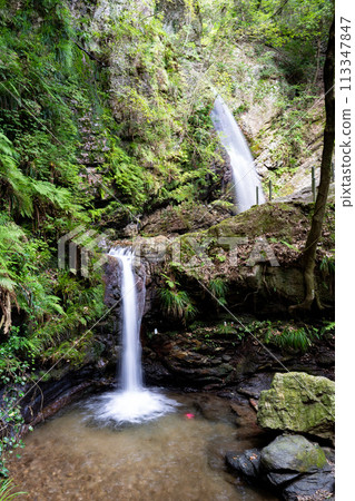 Kuroyama Three Waterfalls: Otaki and Medaki (Ogose Town, Saitama Prefecture) October 113347847