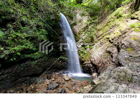Kuroyama Sandaki Waterfalls, Otokotaki (Ogose Town, Saitama Prefecture) October 113347849