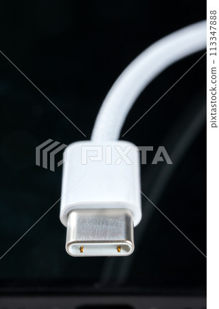 USB C 型電纜 113347888