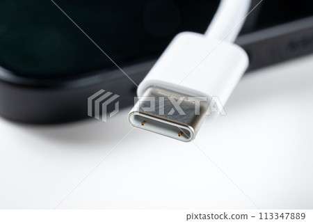 USB C 型電纜 113347889