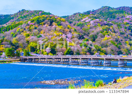 渡月橋和嵐山櫻花 113347894
