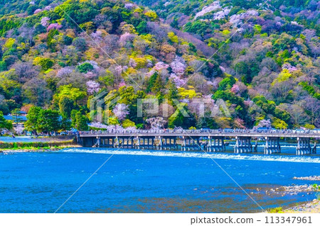 在Arashiyama和Togetsu橋的櫻花 在Arashiyama和Togetsu橋的櫻花 113347961