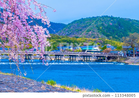 嵐山櫻花和渡月橋 嵐山櫻花和渡月橋 113348005