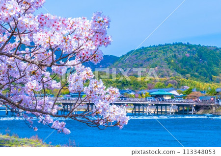 在Arashiyama和Togetsu橋的櫻花 113348053