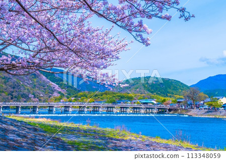 在Arashiyama和Togetsu橋的櫻花 113348059
