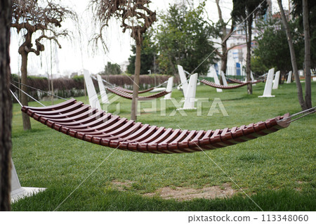 A hammock is suspended between trees on the lush grass in a park 113348060