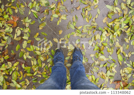 Individual standing in a pile of leaves on grassy groundcover 113348062