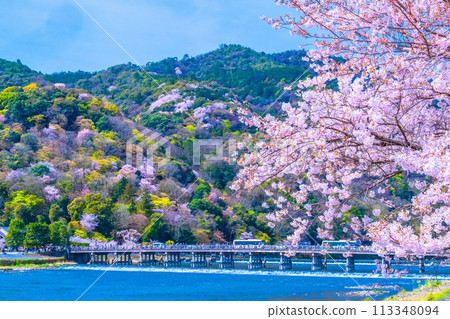 Cherry blossoms at Arashiyama and Togetsu bridge 113348094