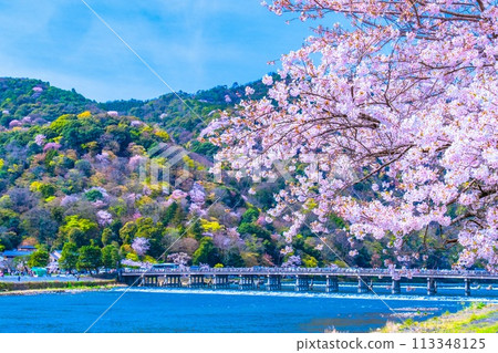Cherry blossoms at Arashiyama and Togetsu bridge 113348125