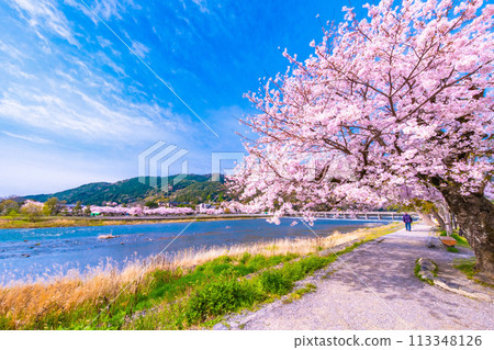 Cherry blossoms at Arashiyama and Togetsu bridge Cherry blossoms at Arashiyama and Togetsu bridge 113348126