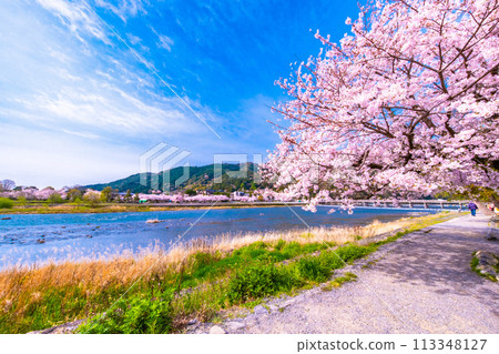 Cherry blossoms at Arashiyama and Togetsu bridge 113348127
