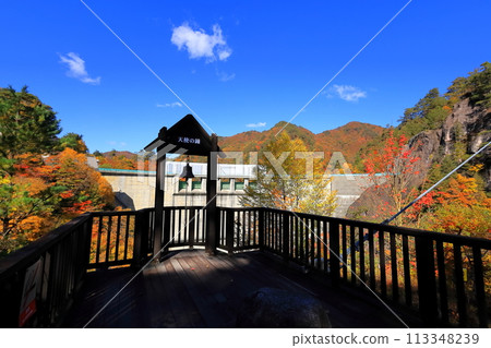 Autumn leaves of Setozyo gorge Autumn leaves of Setozyo gorge 113348239