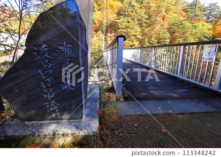 Setozyo峽谷秋葉 113348242