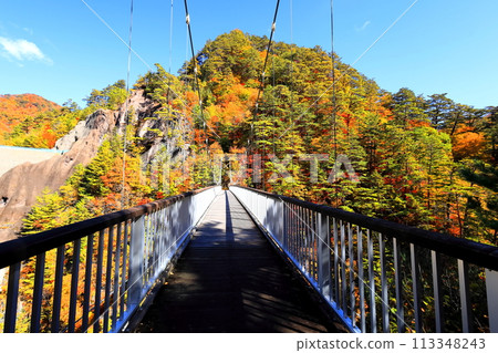 Setozyo峽谷秋葉 113348243