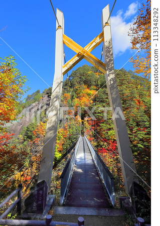 Autumn leaves of Setozyo gorge 113348292