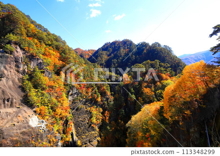 Setozyo峽谷秋葉 Setozyo峽谷秋葉 113348299