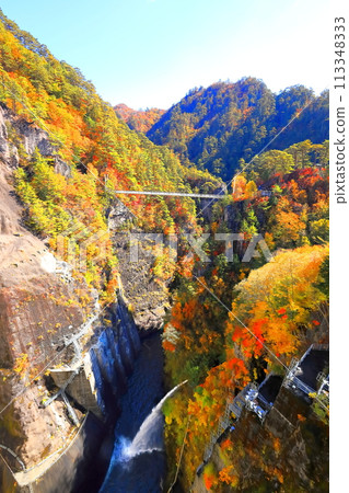 Autumn leaves of Setozyo gorge Autumn leaves of Setozyo gorge 113348333