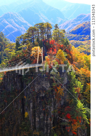 Autumn leaves of Setozyo gorge Autumn leaves of Setozyo gorge 113348343