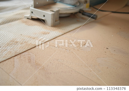 Dust nad Dirt on a Wooden Floor, 113348376