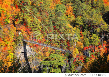 Autumn leaves of Setozyo gorge 113348392