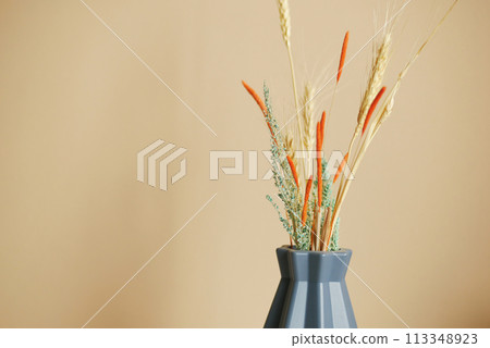 Beautiful dried flowers on a orange minimalistic background. Beautiful dried flowers on a orange minimalistic background. 113348923