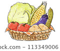 蔬菜在籃子裡 113349006