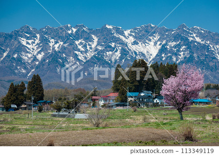 Togakushi Plateau, Nagano City 113349119
