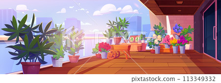 Home garden on high terrace or rooftop 113349332
