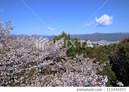 View from the observation deck at Mt. Fudeyama in spring (Kochi City, Kochi Prefecture) View from the observation deck at Mt. Fudeyama in spring (Kochi City, Kochi Prefecture) 113349355