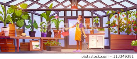 Flower and plant pot in greenhouse garden interior 113349391