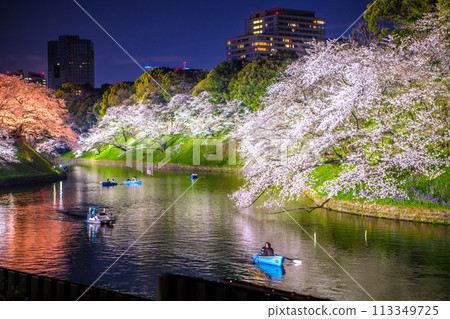日本千鳥淵的東京城市景觀，櫻花盛開。櫻花燈飾等景觀=2020年4月7日 113349725