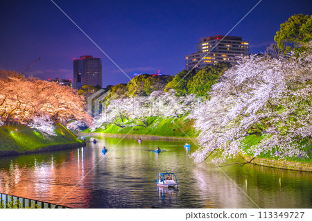 日本千鳥淵的東京城市景觀,櫻花盛開。櫻花燈飾等景觀=2020年4月7日 日本千鳥淵的東京城市景觀,櫻花盛開。櫻花燈飾等景觀=2020年4月7日 113349727