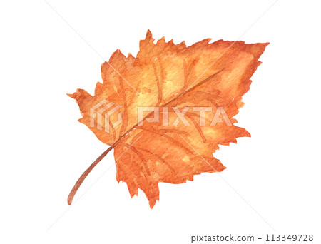 Watercolor autumn tree leaf isolated. Hand drawn illustration Watercolor autumn tree leaf isolated. Hand drawn illustration 113349728