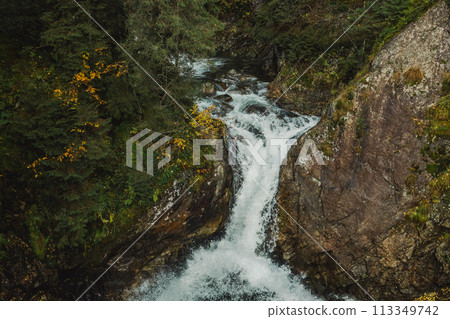 Wild river waterfall in mountain forest 113349742