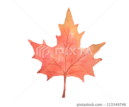 Autumn maple leaf. Hand drawn watercolor illustration 113349746