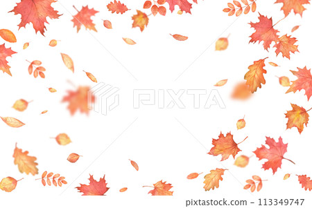 Autumn falling leaves frame. Autumnal foliage fall and orange maple leaves flying in wind motion blur. Autumn falling leaves frame. Autumnal foliage fall and orange maple leaves flying in wind motion blur. 113349747