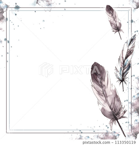 Watercolor painted monochrome frame. Bird grey feathers with graphic ink line on watercolor brush stroke splashes. Real wings card template illustration. Clipart for print. Isolated white background 113350119