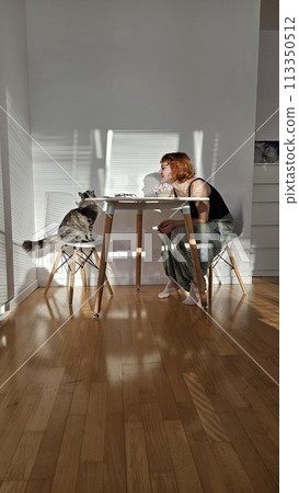 life domestic cat 113350512