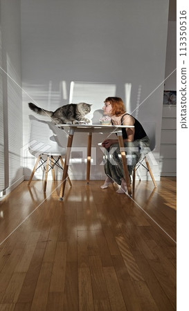 life domestic cat 113350516