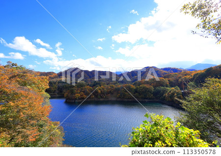 Autumn leaves at Lake Kawamata / Nikko City, Tochigi Prefecture Autumn leaves at Lake Kawamata / Nikko City, Tochigi Prefecture 113350578