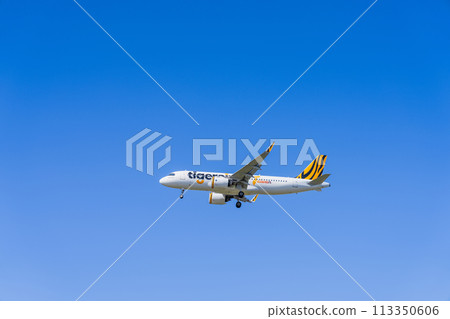 [飛機] 空中巴士 Airbus A320neo 系列 > A320neo 113350606