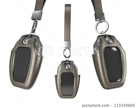 Car remote control key set in lather case realistic 3d render on white 113350660