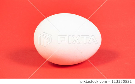 One white chicken egg on red background close-up One white chicken egg on red background close-up 113350821