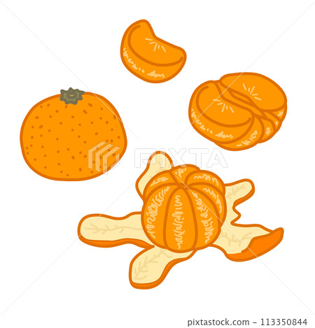 illustration of various tangerines 113350844