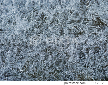 Signs of spring: melting snow Signs of spring: melting snow 113351129